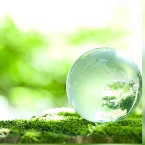 Meet your Posher, Jolanda